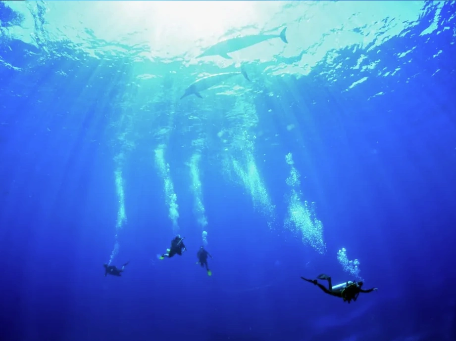 Passeios em Fernando de Noronha - Mergulho Batismo