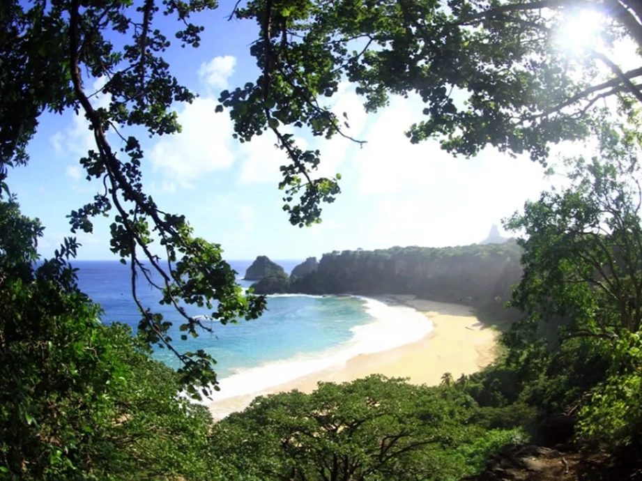Passeio em Fernando de Noronha - Mirante dos Golfinhos