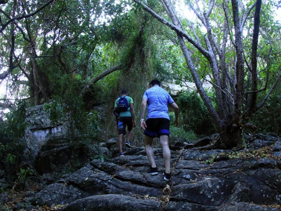 Passeios em Fernando de Noronha - Trilha do Piquinho