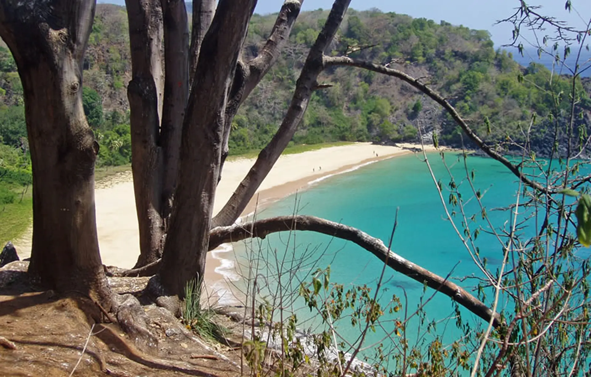 Praia paradisíaca de Fernando de Noronha