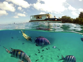 Passeio de Barco